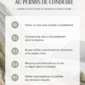 Candidat au permis de conduire en train de pratiquer sur la route.