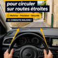 Une femme au volant de sa voiture sur une route étroite entourée d'arbres.