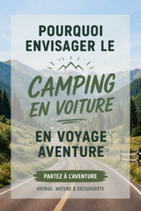 Image d'une femme souriante devant un camping-car en pleine nature, illustrant l'aventure du camping en voiture.
